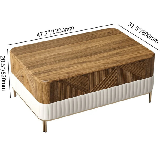 Modern Wood Storage Coffee Table