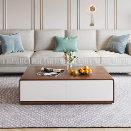 Modern Storage Coffee Table