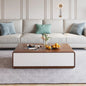 Modern Storage Coffee Table