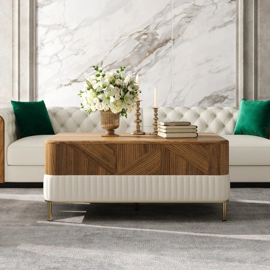 Modern Wood Storage Coffee Table