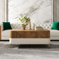 Modern Wood Storage Coffee Table