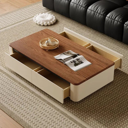 Modern Minimalist Storage Coffee Table