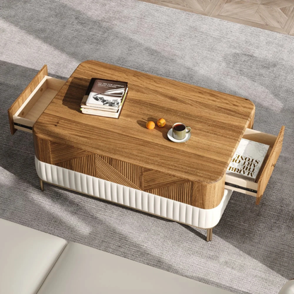 Modern Wood Storage Coffee Table
