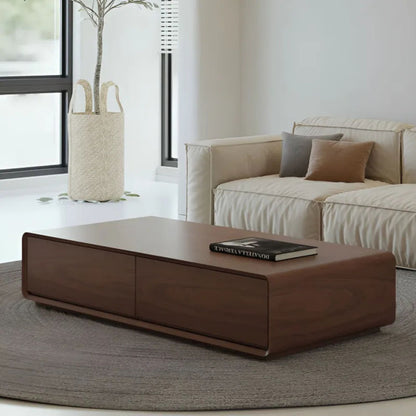 Contemporary Storage Coffee Table
