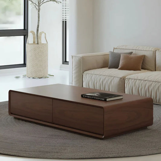 Contemporary Storage Coffee Table