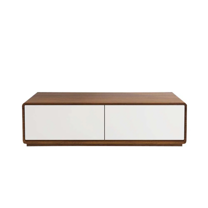 Modern Storage Coffee Table
