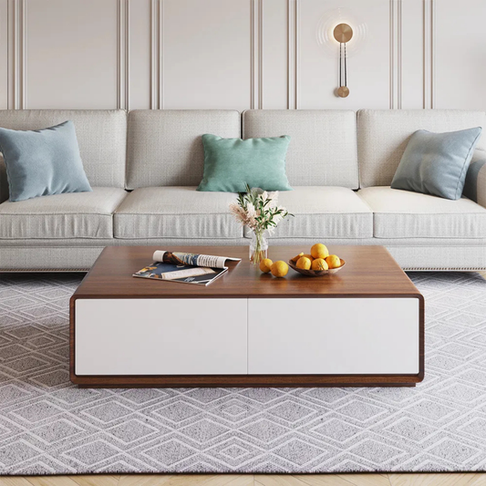 Modern Storage Coffee Table