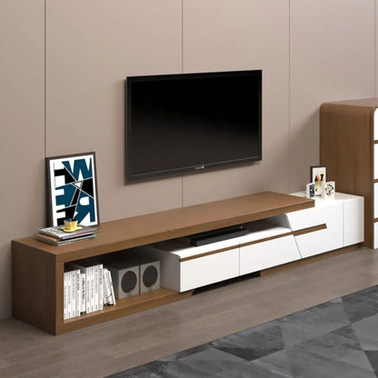 Modern TV Stand with Large Storage