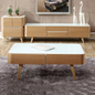Scandinavian Storage Coffee Table