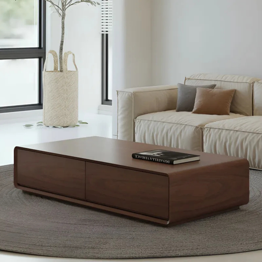 Contemporary Storage Coffee Table