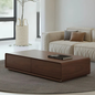Contemporary Storage Coffee Table