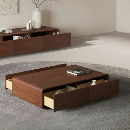 Contemporary Storage Coffee Table