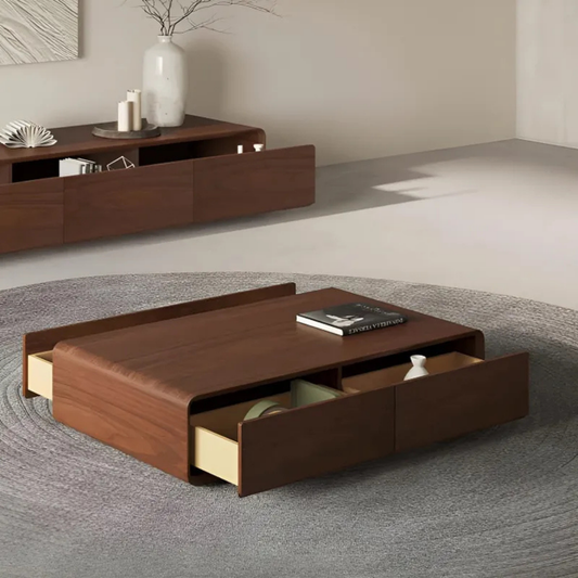 Contemporary Storage Coffee Table