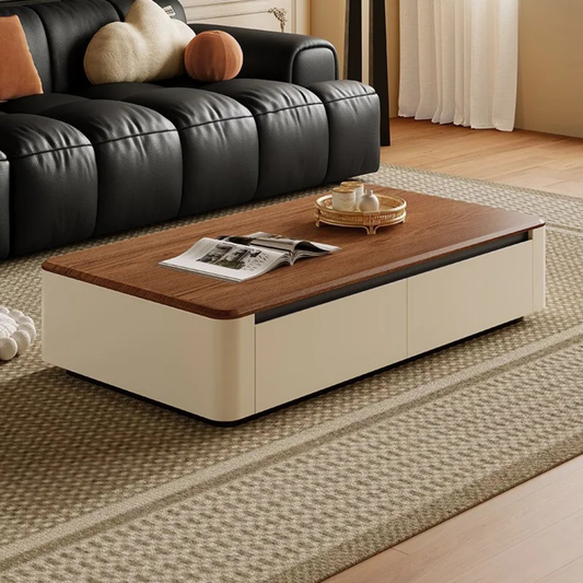 Modern Minimalist Storage Coffee Table